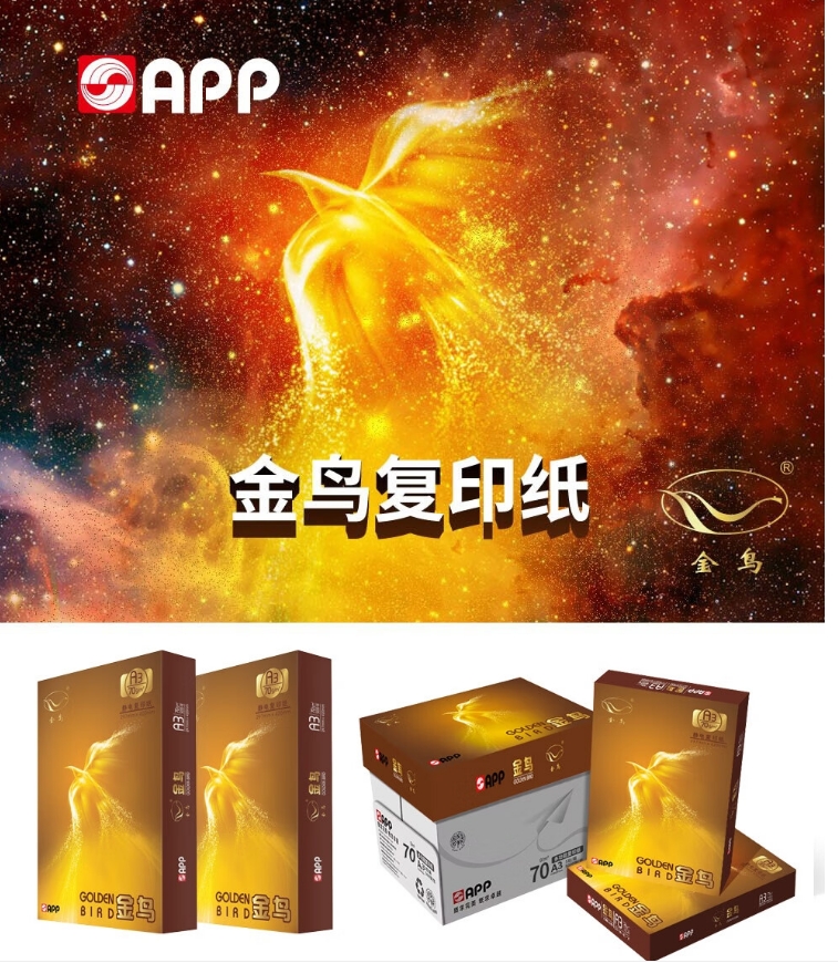 微信截圖_20240717093301.jpg